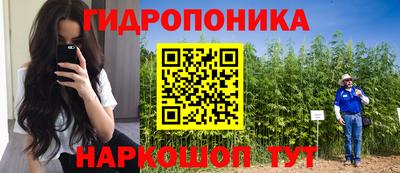 ECSTASY Кимры