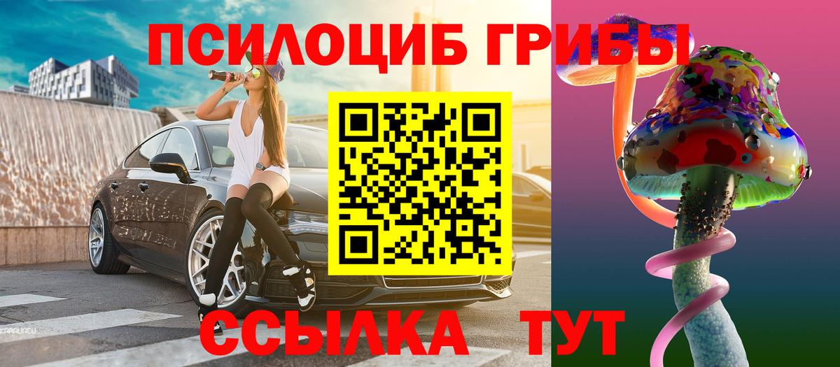 Псилоцибиновые грибы Psilocybe Коркино